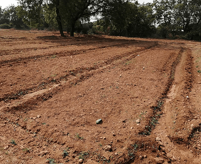 Organic Farming